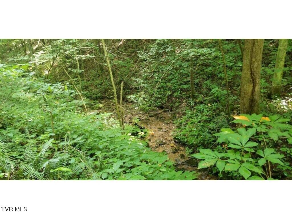 5596 Twin Springs Road Dungannon, VA 24245 - Photo 47 of 48 20191109092647796501000000-o