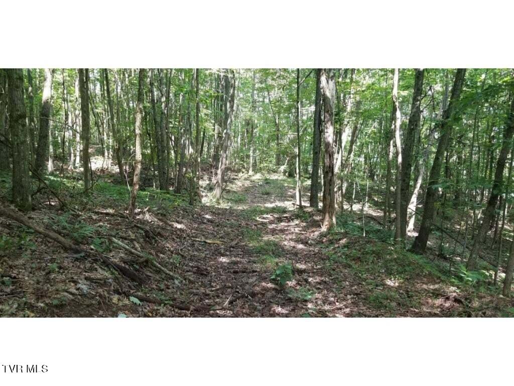 5596 Twin Springs Road Dungannon, VA 24245 - Photo 48 of 48 20191109092650643715000000-o