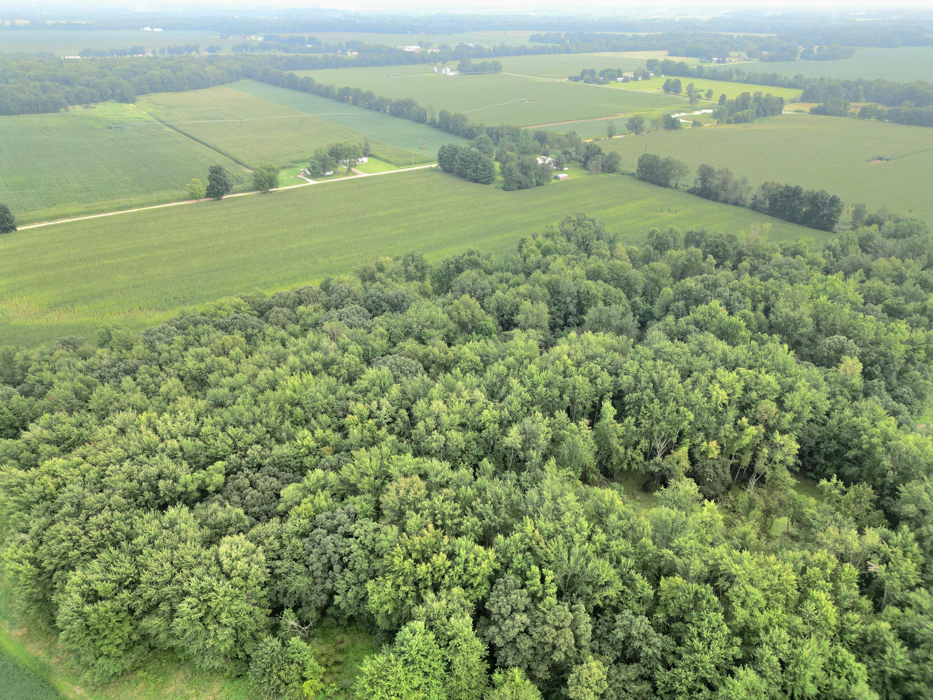 Root V/l Road Constantine, MI 49042 - Photo 10 of 10 Root Road drone pic 8