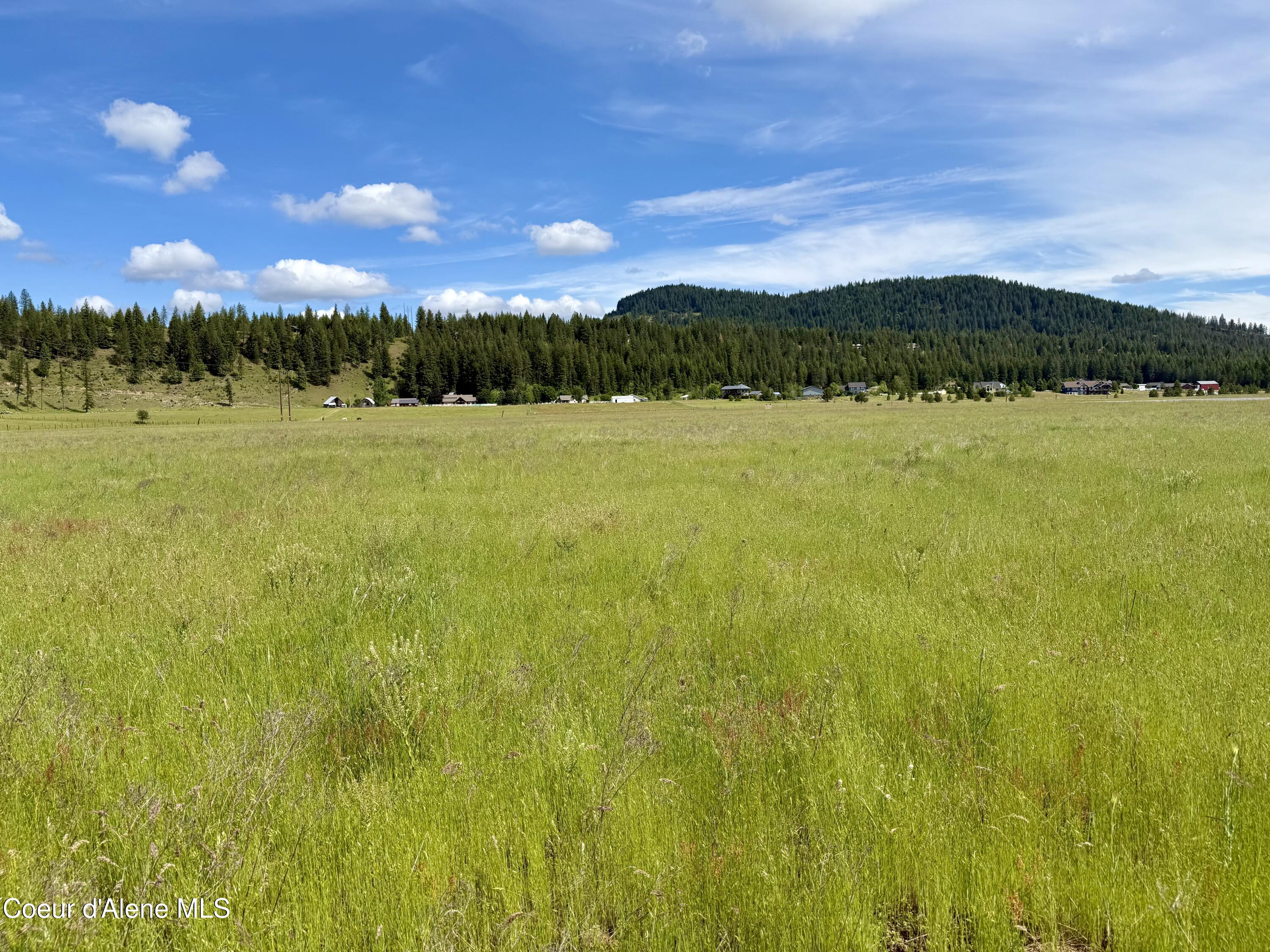 Lot 5 North Stonemason Way Rathdrum, ID 83858 - Photo 3 of 6 Open, flat usable acreage.