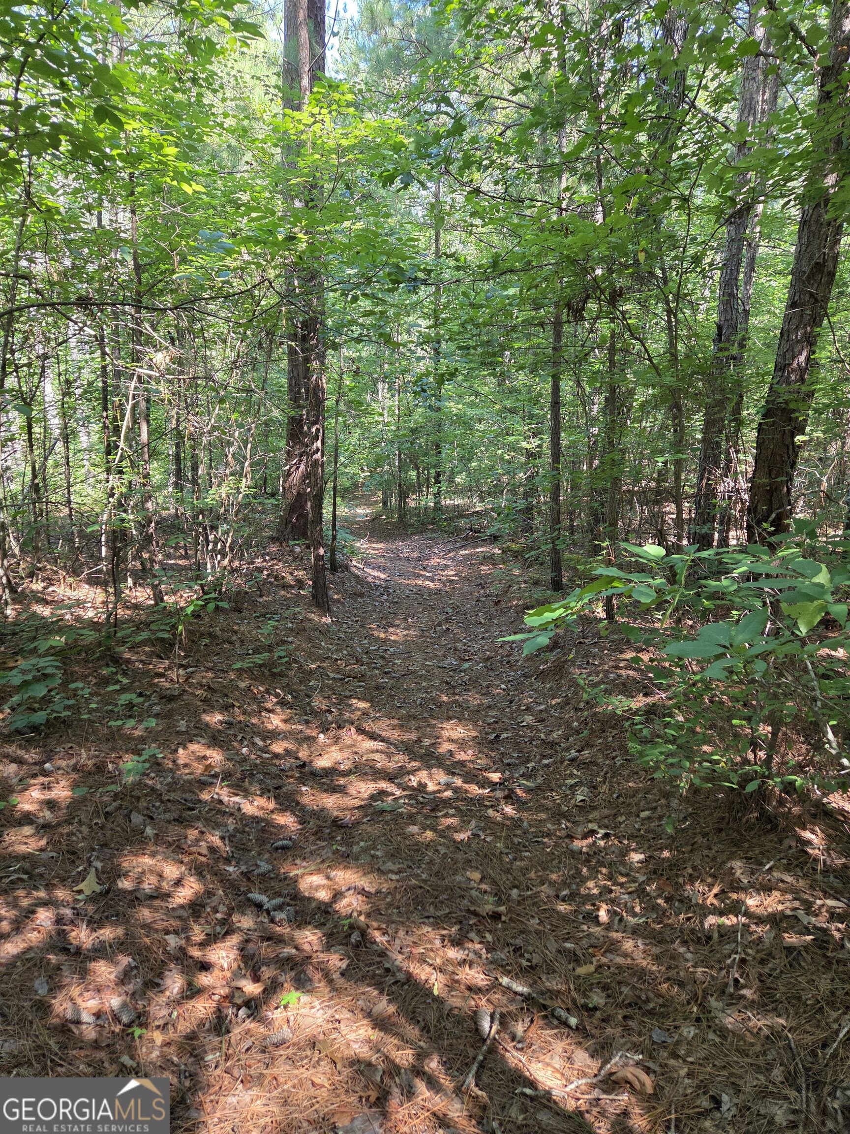 0 Millen Road Monticello, GA 31064 - Photo 12 of 28 Gallery Image 12