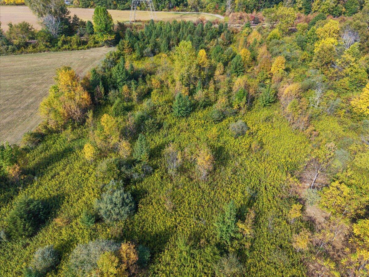 19459 Dog Leg Road Marysville, OH 43040 - Photo 37 of 46 36-DJI_20250916222034_0007_D