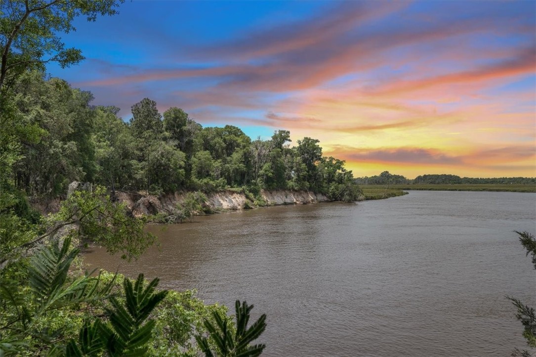 1113 Old River Road Darien, GA 31305 - Photo 1 of 20