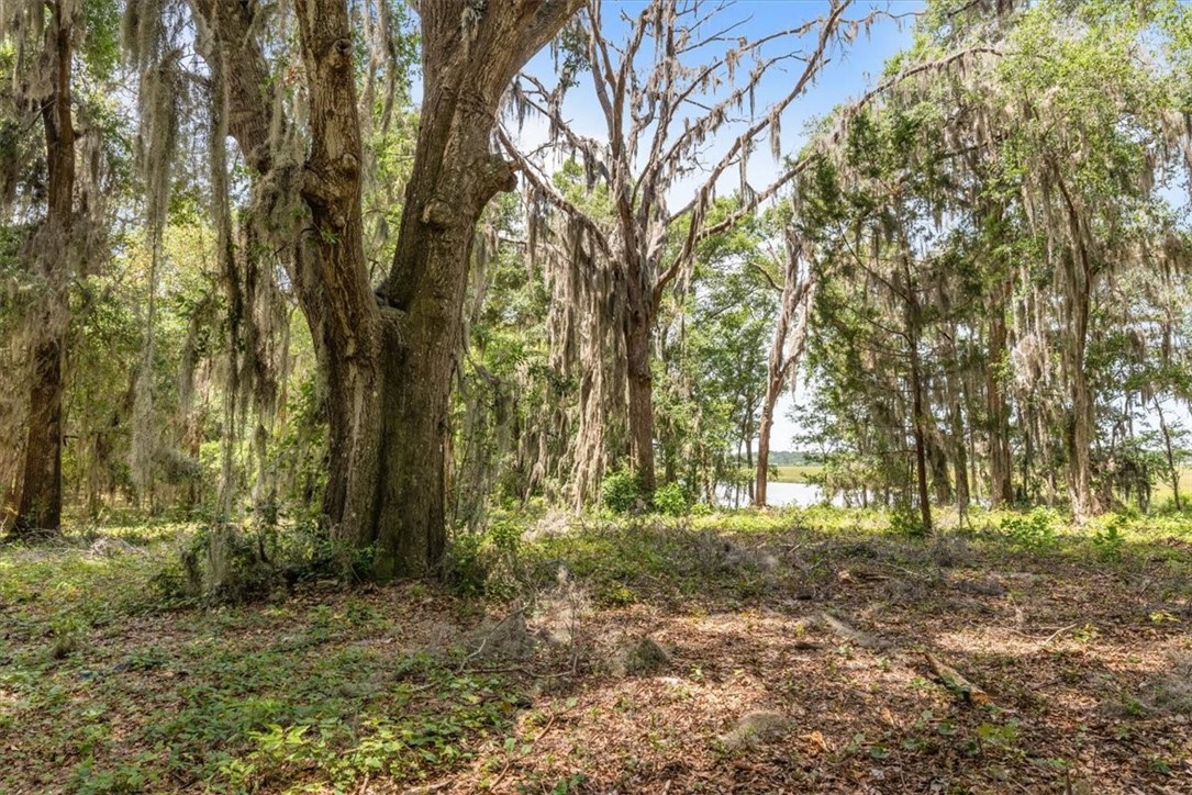 1113 Old River Road Darien, GA 31305 - Photo 11 of 20