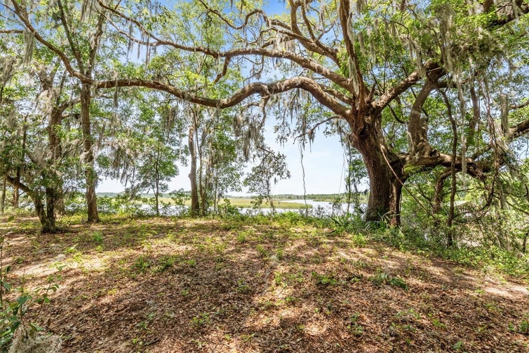 1113 Old River Road Darien, GA 31305 - Photo 12 of 20