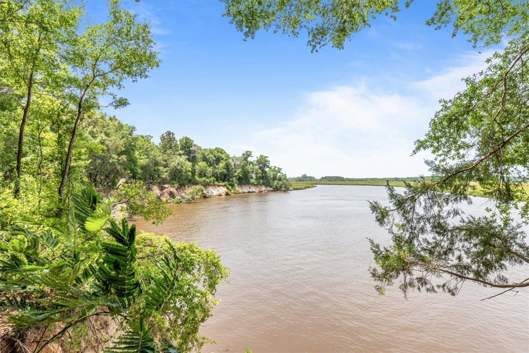 1113 Old River Road Darien, GA 31305 - Photo 15 of 20