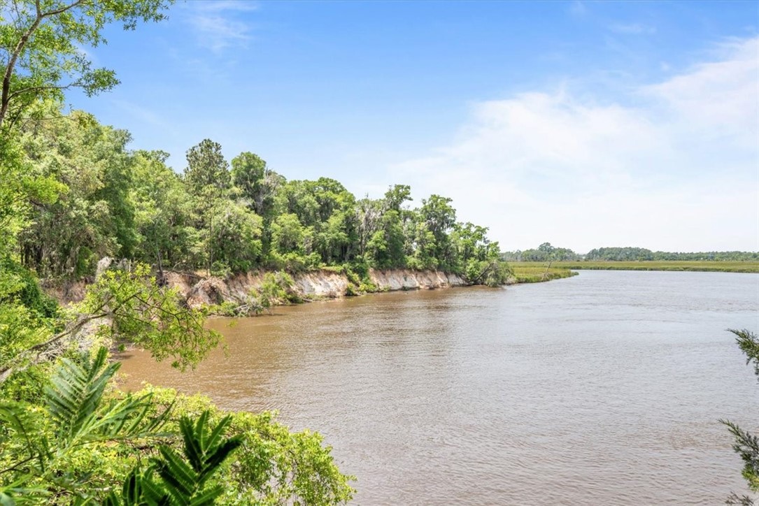 1113 Old River Road Darien, GA 31305 - Photo 16 of 20