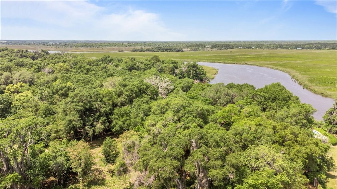 1113 Old River Road Darien, GA 31305 - Photo 2 of 20