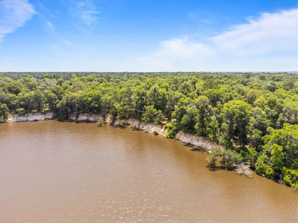 1113 Old River Road Darien, GA 31305 - Photo 4 of 20