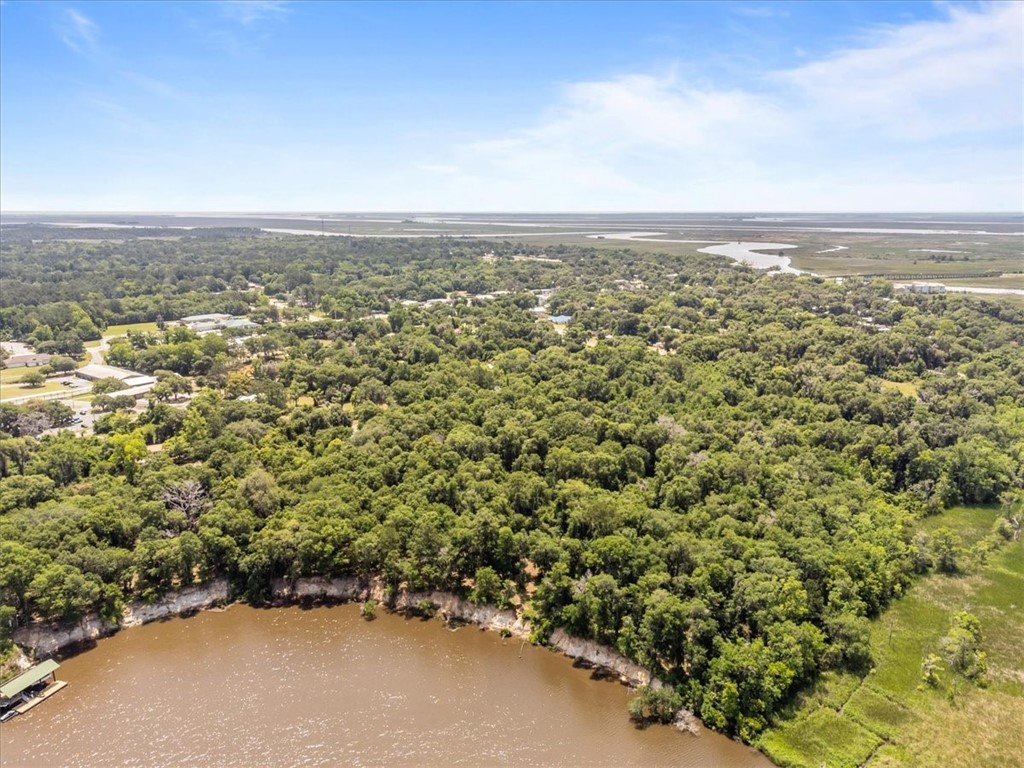 1113 Old River Road Darien, GA 31305 - Photo 5 of 20