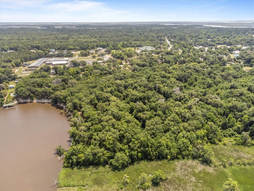 1113 Old River Road Darien, GA 31305 - Photo 6 of 20
