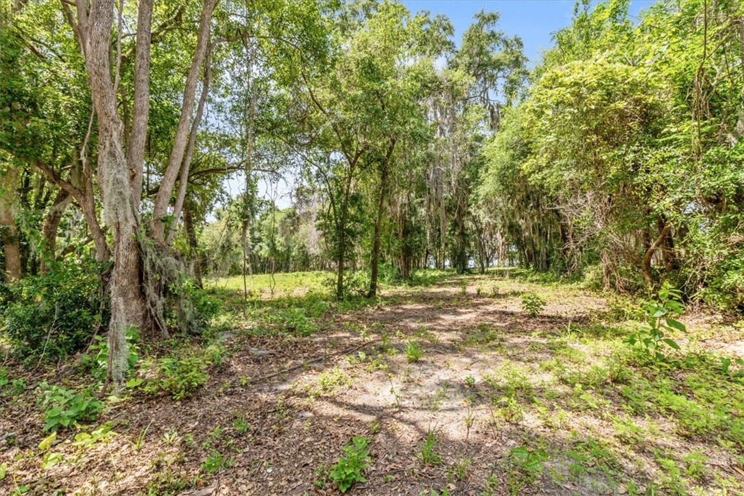 1113 Old River Road Darien, GA 31305 - Photo 10 of 20