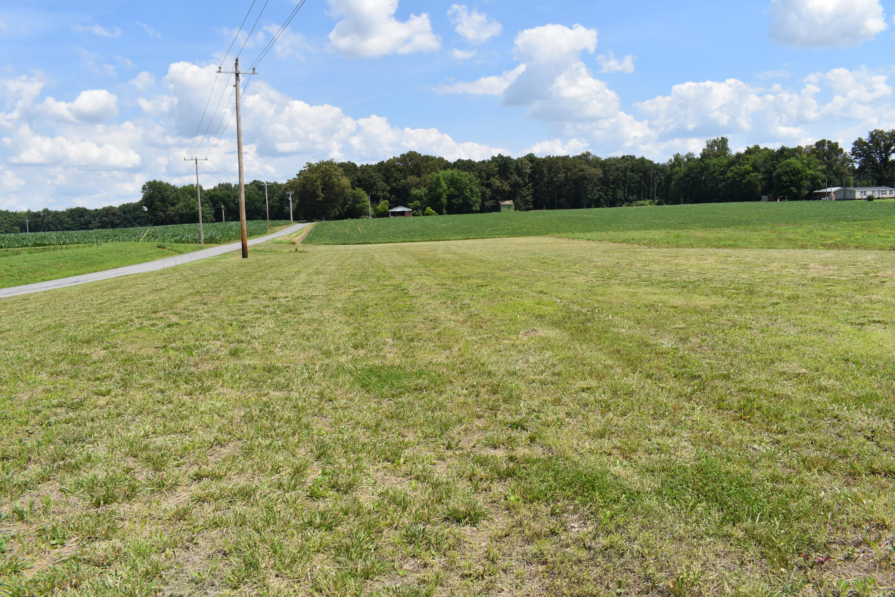 1975 Page Road Sedalia, KY 42079 - Photo 5 of 8 DSC_0171