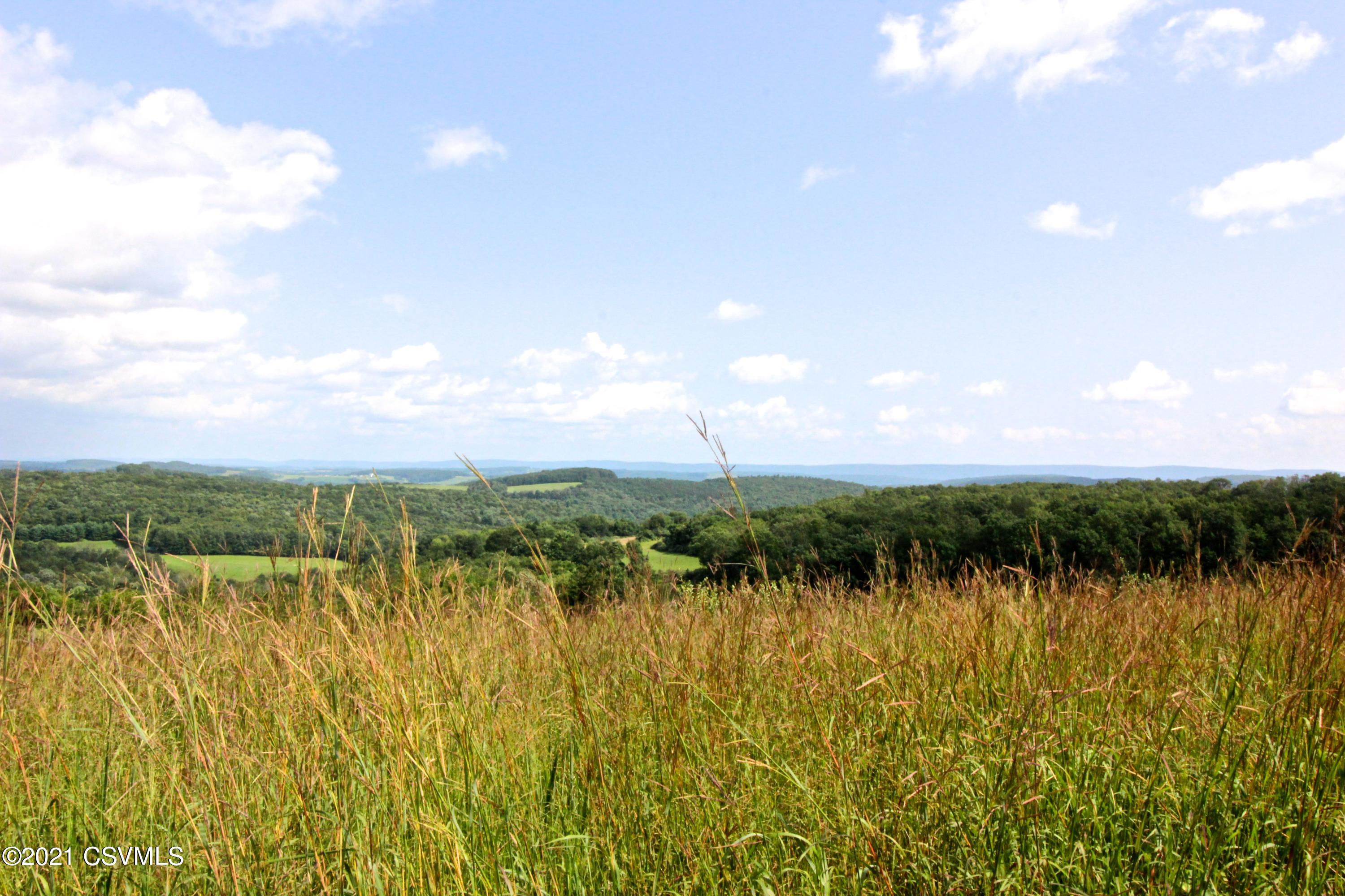 Piper Road Benton, PA 17814 - Photo 7 of 11