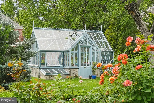 a lush green forest with lots of trees