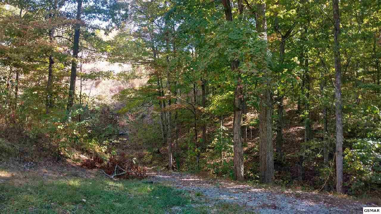 1144 Robinson Gap Road Sevierville, TN 37876 - Photo 4 of 11 Gallery Image 4