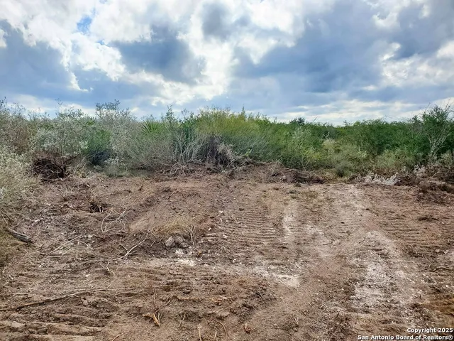 a view of a dry yard with trees in the background