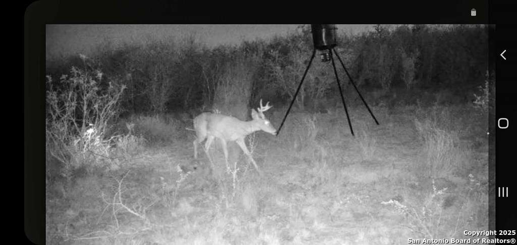 449 Double Eagle George West, TX 78022 - Photo 3 of 22 a picture of a room