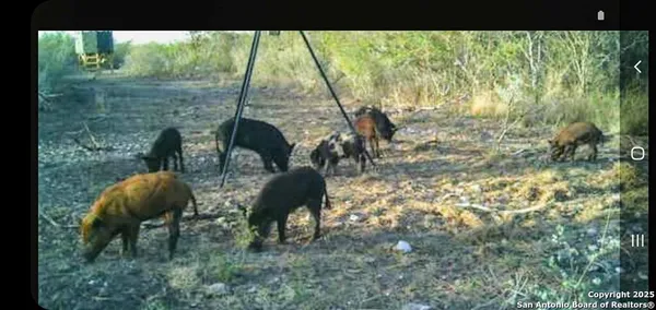 a room view with a outdoor seating space
