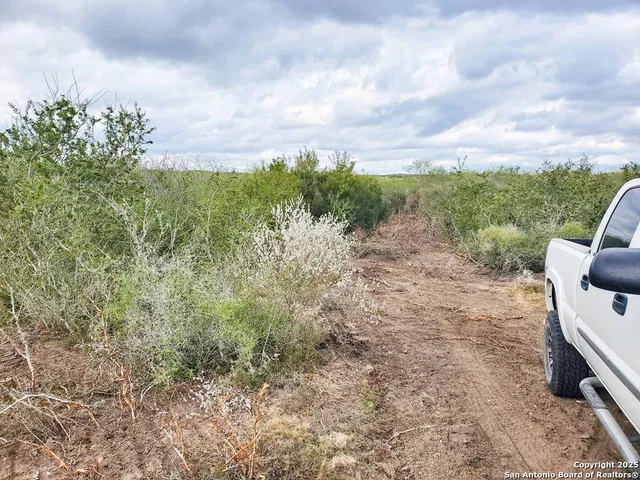 a view of a yard with plants and wooden fence