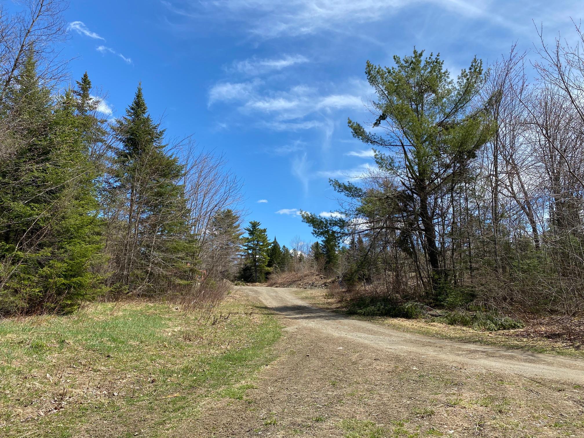 Lot #2 Off Tremblay Road Dexter, ME 04930 - Photo 11 of 15 11