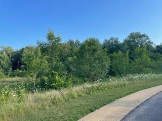 Lot 37 Lucille Merrimac, WI 53561 - Photo 3 of 10