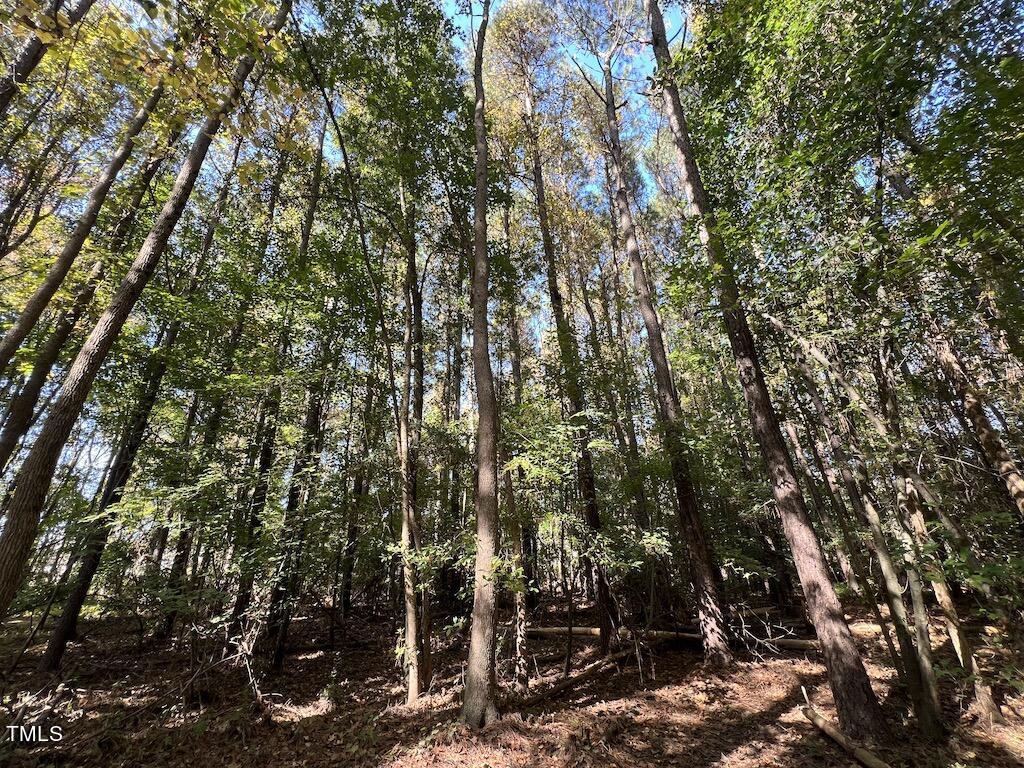 0 Buck Swamp Road Pikeville, NC 27863 - Photo 30 of 38 31