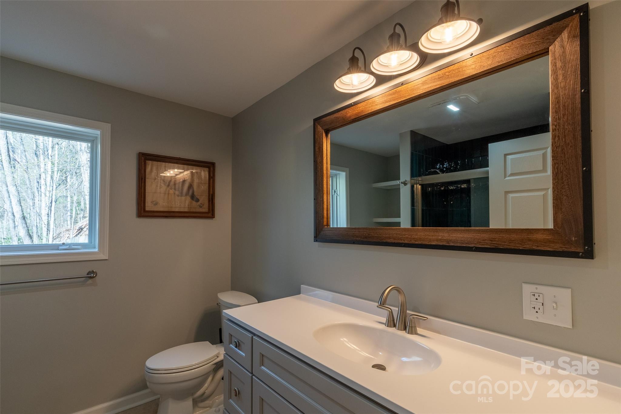 136 Dars Lane Tuckasegee, NC 28783 - Photo 37 of 39 a bathroom with a sink a toilet and a mirror