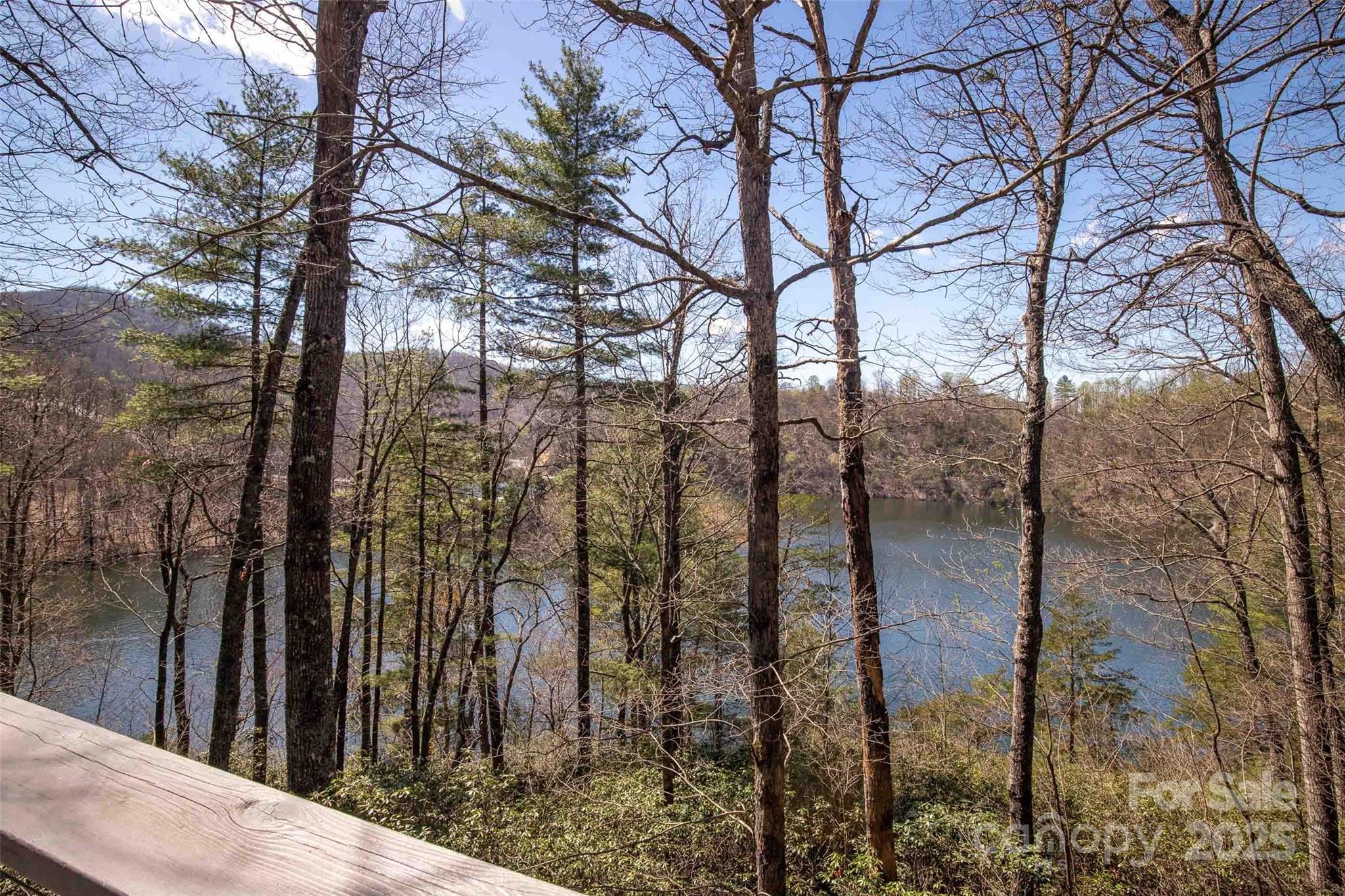 136 Dars Lane Tuckasegee, NC 28783 - Photo 7 of 39 a backyard of a house with lots of green space