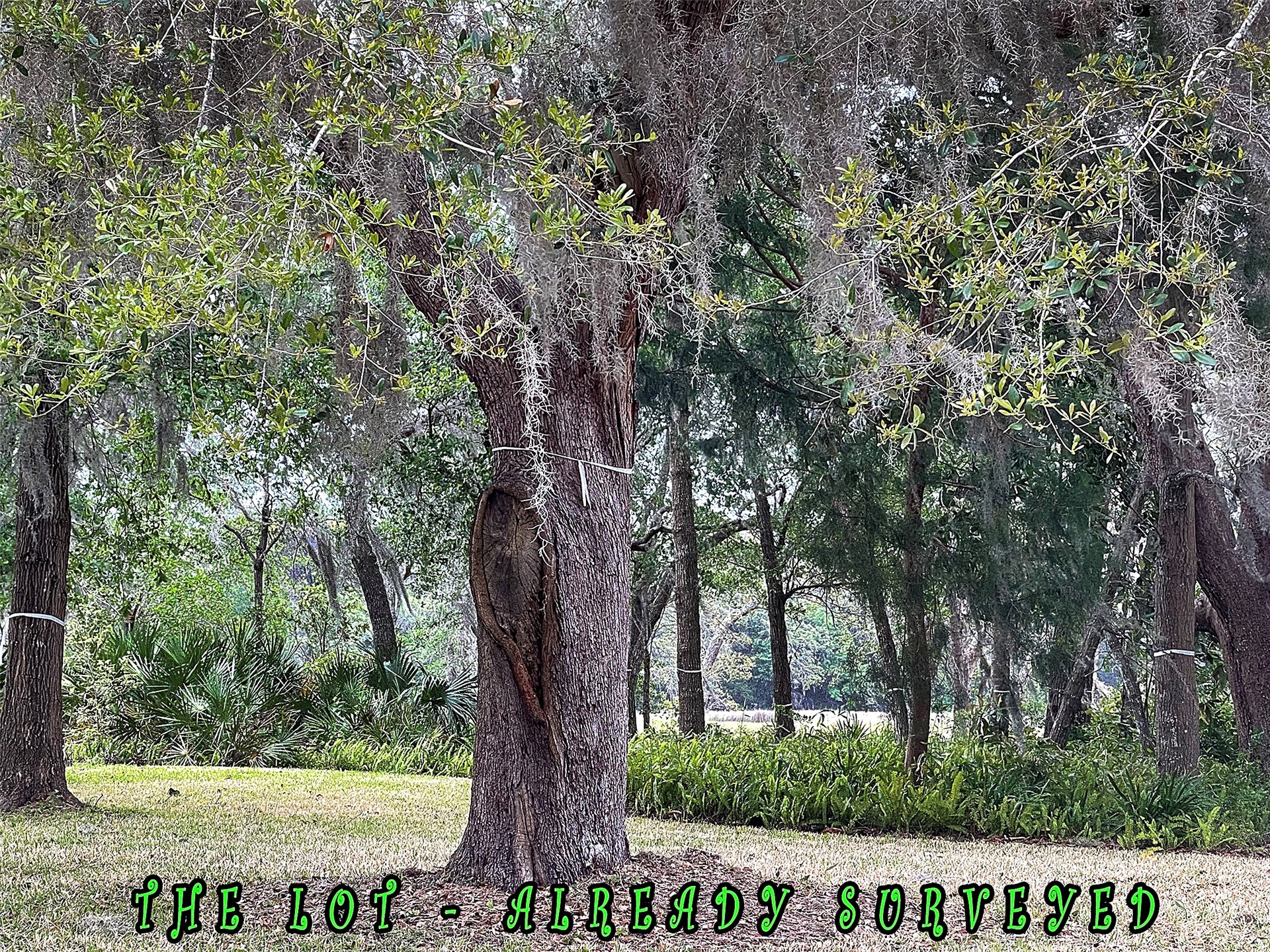 29078 Grandview Manor Yulee, FL 32097 - Photo 7 of 18