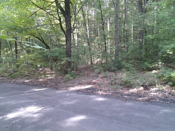 Neside Morgan Road West Springfield, MA 01089 - Photo 8 of 11
