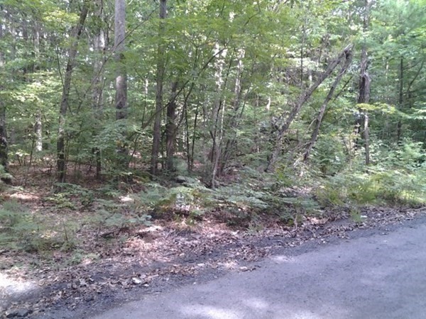 Neside Morgan Road West Springfield, MA 01089 - Photo 10 of 11