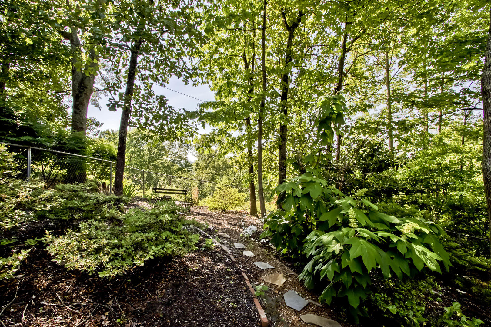 140 Newell Lane Oak Ridge, TN 37830 - Photo 35 of 40 35_NewellLane_140_PetYardSeating