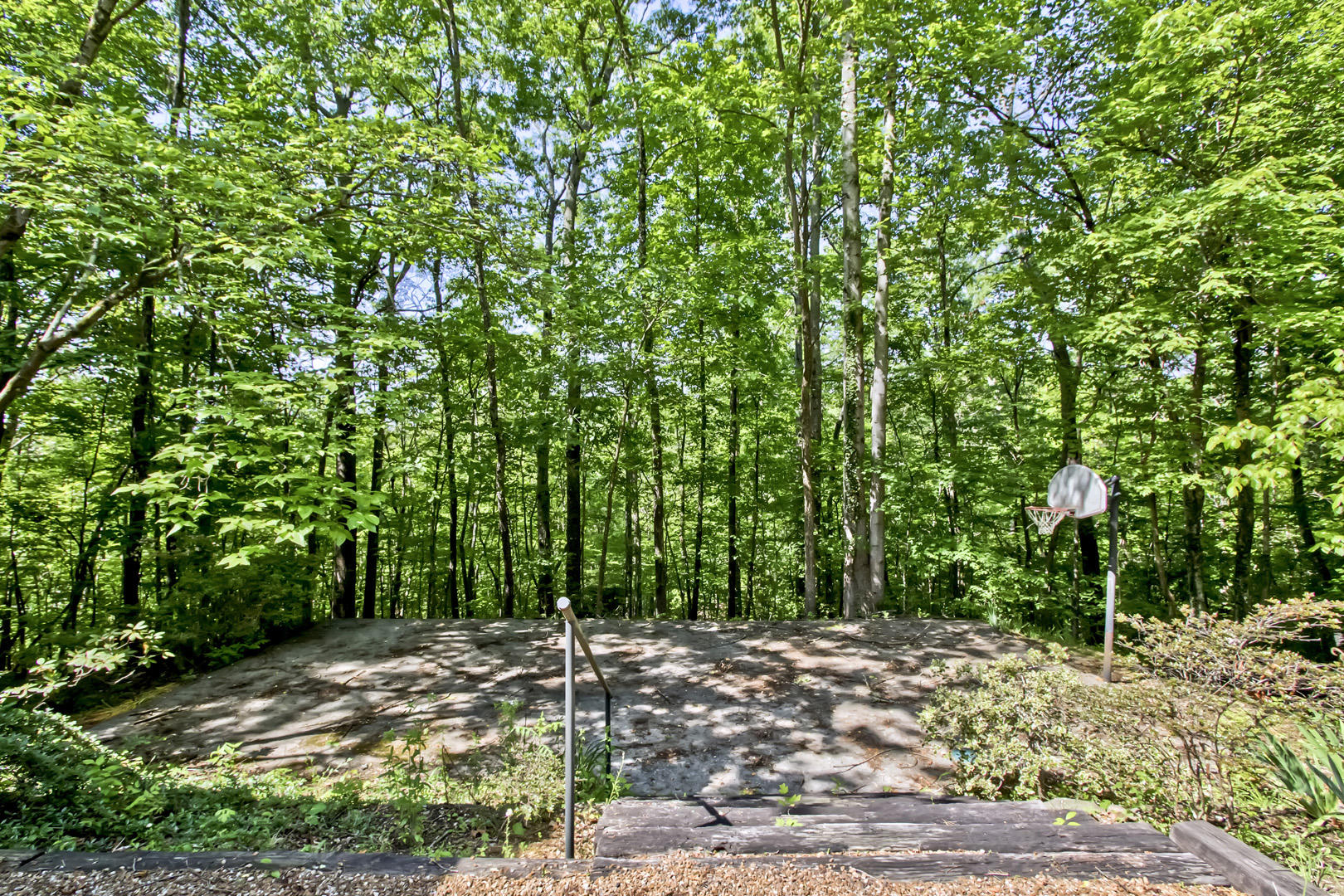 140 Newell Lane Oak Ridge, TN 37830 - Photo 40 of 40 40_NewellLane_140_BasketballCourt