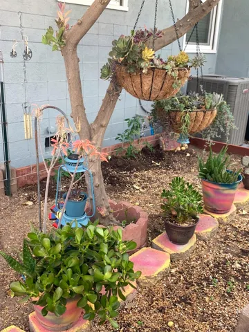 a view of a backyard with plants and a table