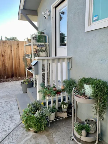 a garden with plants and outdoor seating