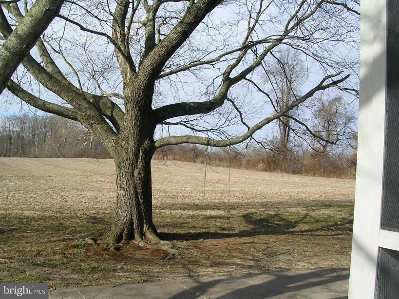 608 Wye Mills Road Queenstown, MD 21658 - Photo 15 of 17 a view of a yard with an outdoor space