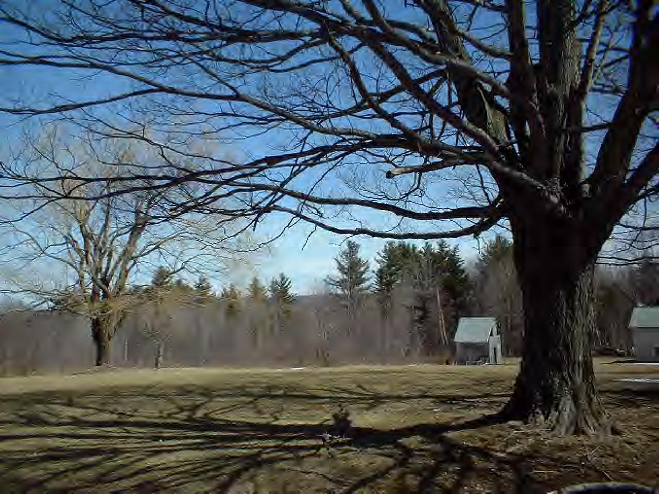 24 Tilton Road Savoy, MA 01256 - Photo 2 of 3 a view of a backyard of the house