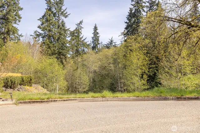 a view of a yard with a tree