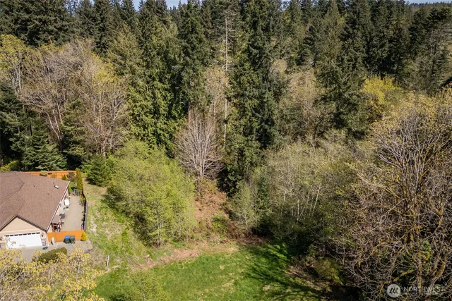 a view of a bunch of trees and bushes