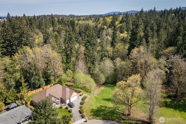 an aerial view of residential house with pool and trees all around