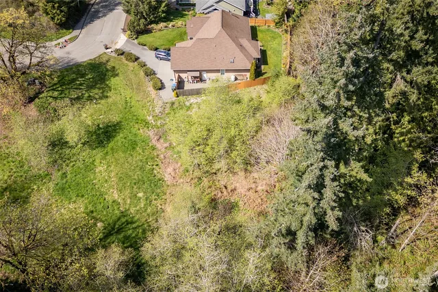 a close up of a plant