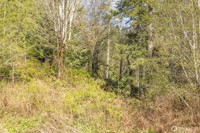 a bathroom with a sink