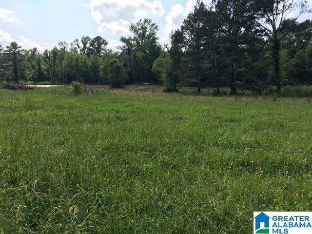 37-acres Joy Road, Unit 37 ACRES Hayden, AL 35079 - Photo 7 of 17