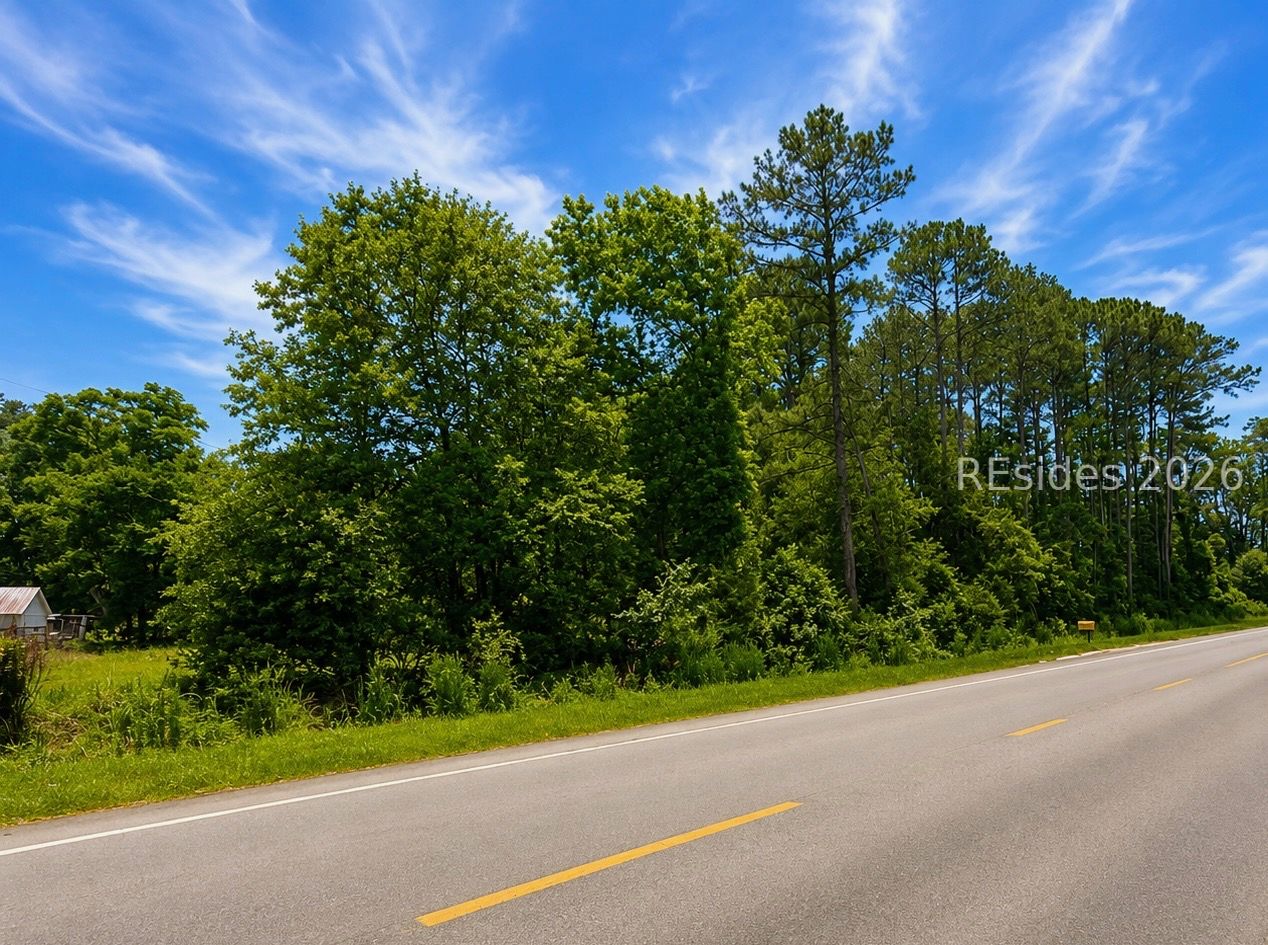 2159 Deerfield Road Hardeeville, SC 29927 - Photo 6 of 7