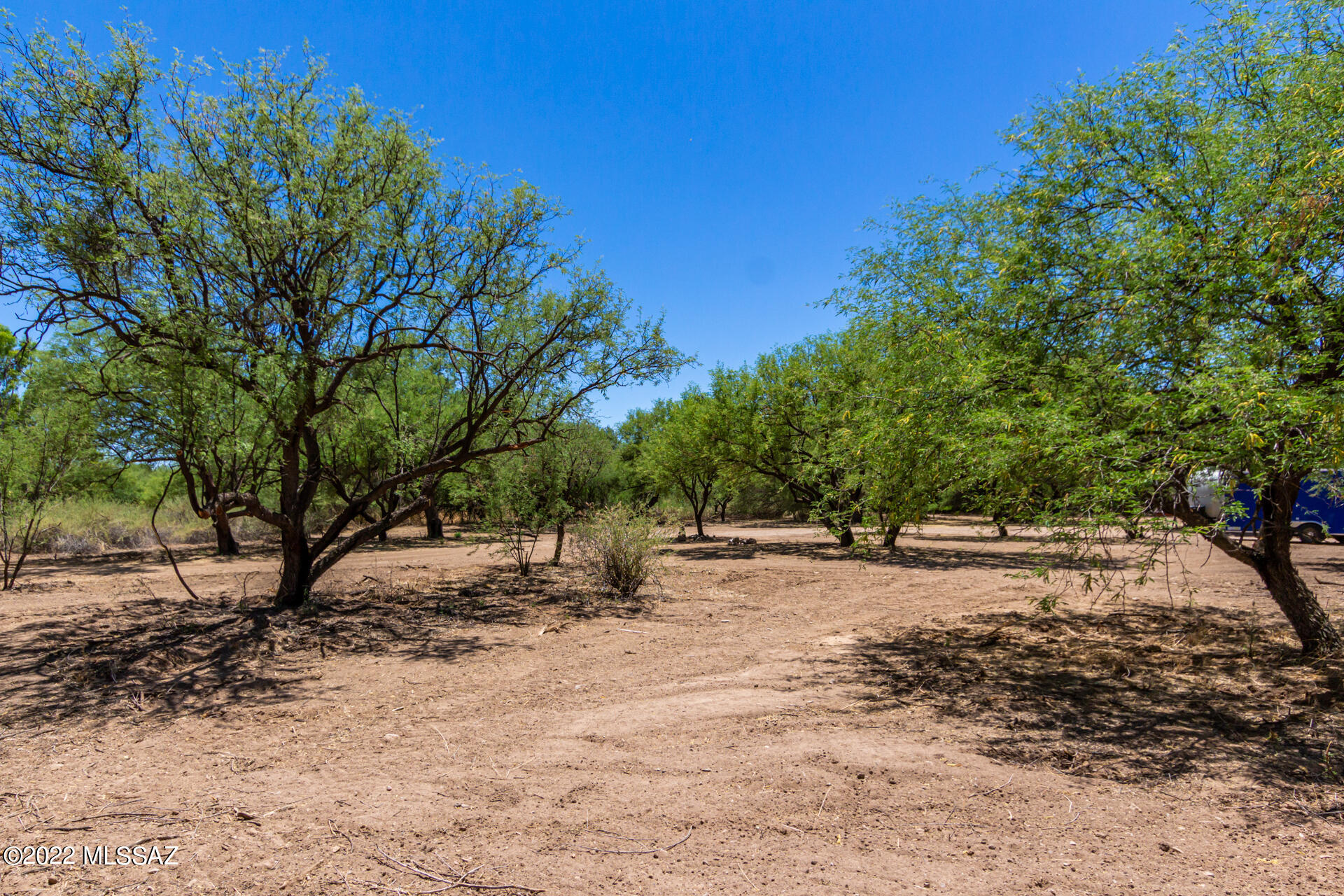 170 Bridge Road, Unit 13B Tubac, AZ 85646 - Photo 3 of 12 a view of a yard with a tree