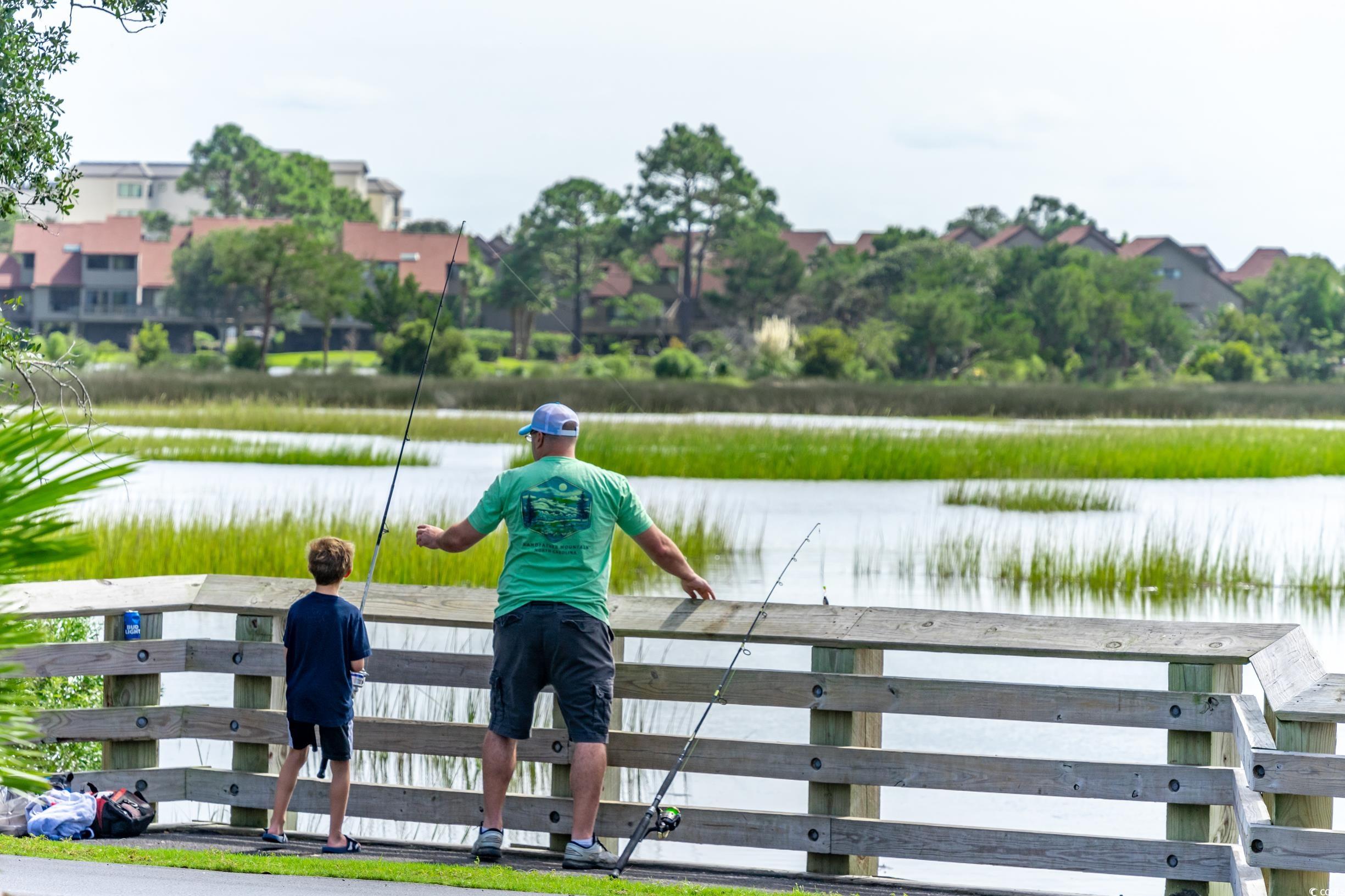 3563 Jordan Landing Road Murrells Inlet, SC 29576 - Photo 33 of 37
