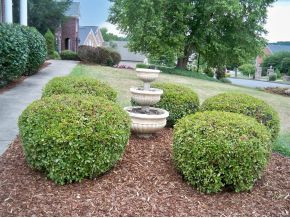 114 Reed Circle Johnson City, TN 37601 - Photo 12 of 12 Beautifully Landscaped