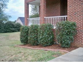 114 Reed Circle Johnson City, TN 37601 - Photo 10 of 12 Side Veranda