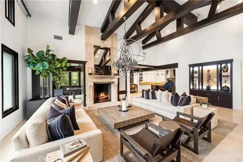 a living room with furniture a fireplace and a potted plant